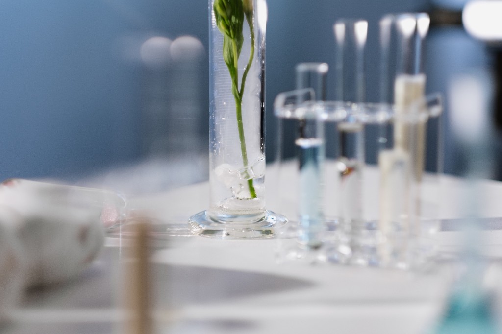 Cell research in the laboratory — telomerase and immortal cell lines are studied in controlled scientific settings