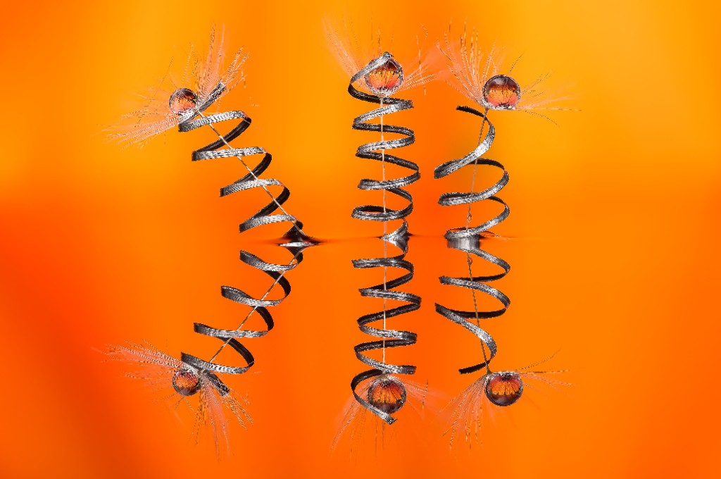 Abstract cellular structure — telomeres shorten with repeated division, setting limits on how long many cells can renew