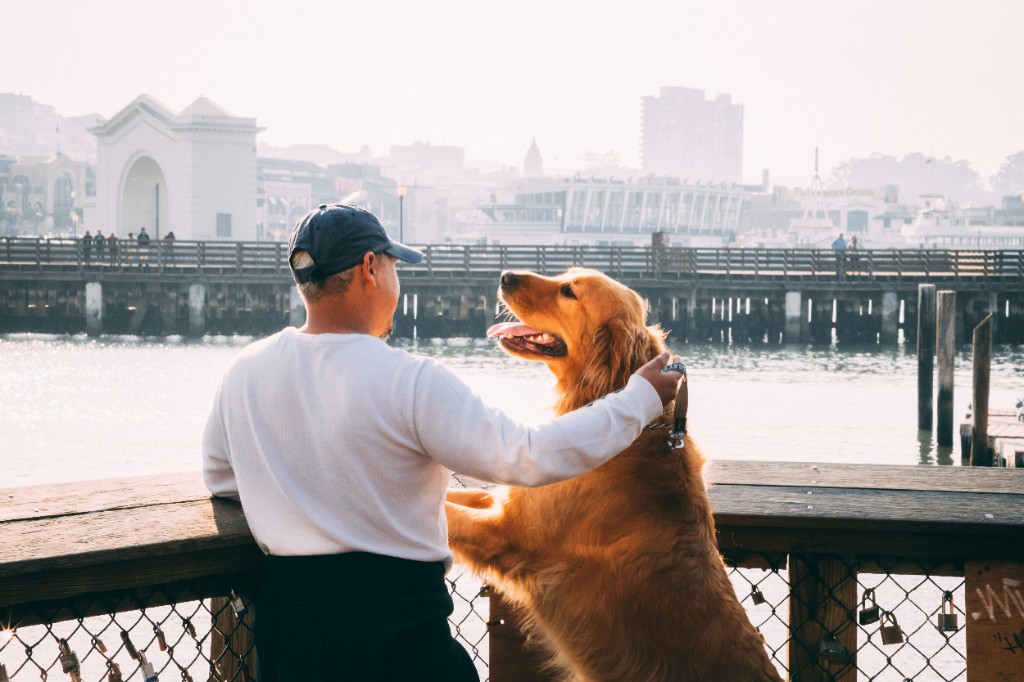 A calm walk by the water with a dog — the quiet, stress-reducing habits that shape healthy aging