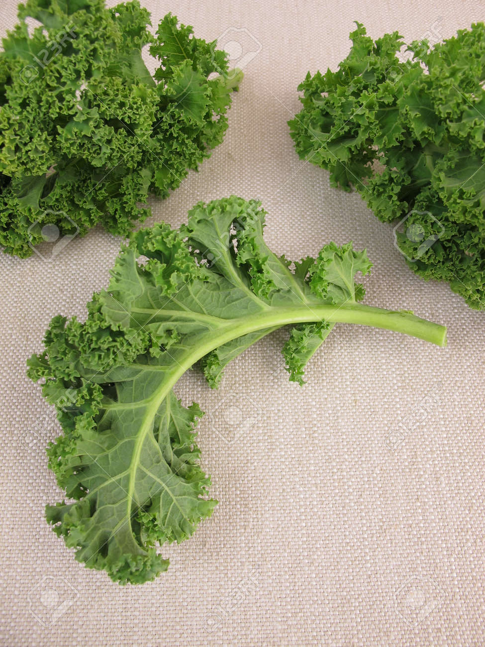Fresh kale leaves for green smoothies