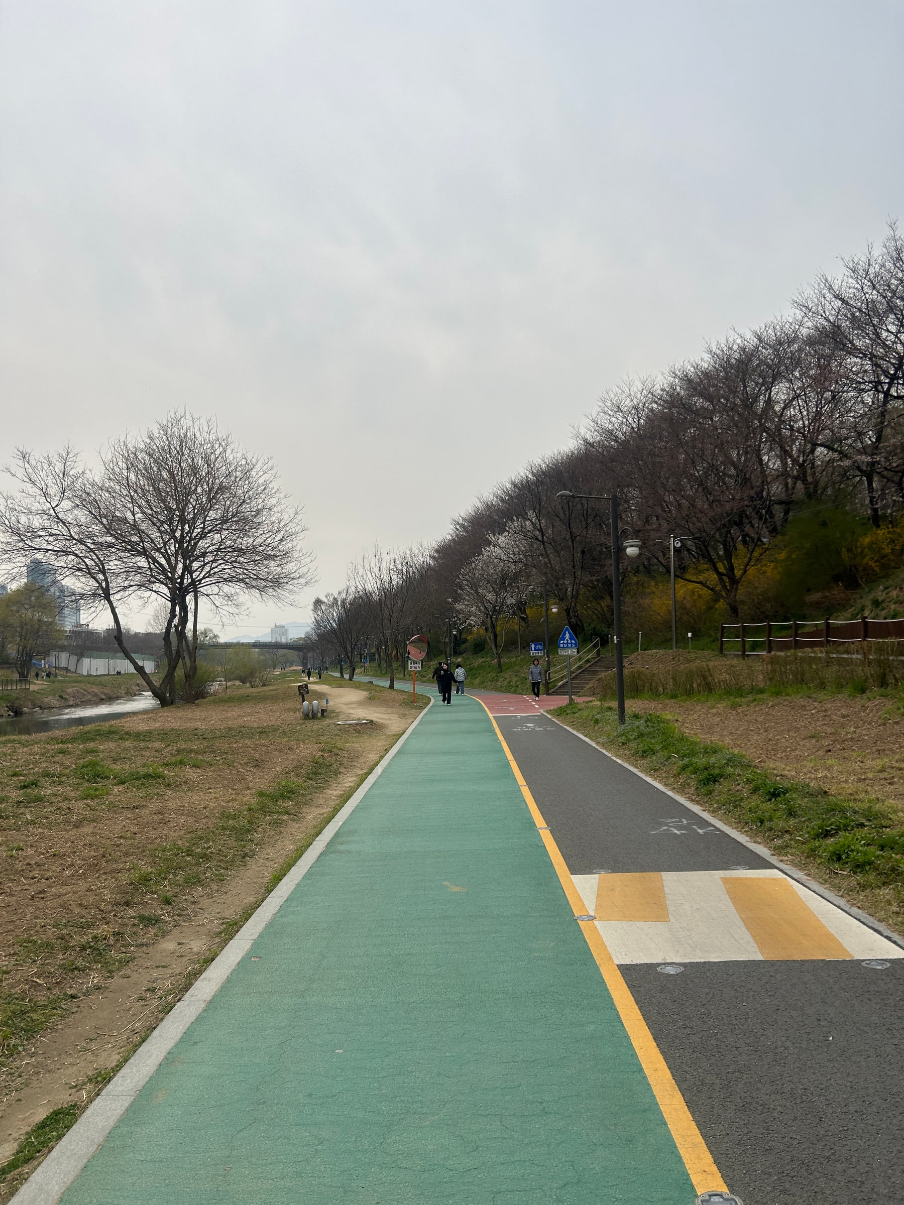 Yangjaecheon stream walking and cycling path in Seocho, Seoul