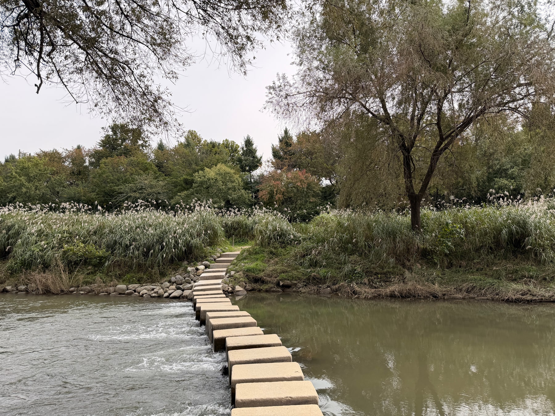 Stepping stones across Yangjaecheon stream in Seoul